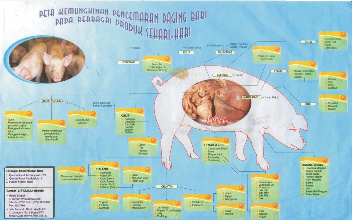 Peta Kemungkinan Penggunaan Babi dan Produk Turunannya (derivat)